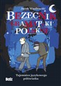 Bezecnik gramatyki polskiej Tajemnice językowego półświatka polish books in canada