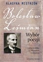 Klasyka mistrzów Bolesław Leśmian Wybór poezji - Bolesław Leśmian