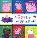 Peppa Pig Big Box of Little Books  polish usa
