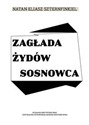 Zagłada Żydów Sosnowca polish usa