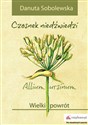 Czosnek niedźwiedzi - Allium ursinum Wielki powrót buy polish books in Usa