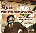 [Audiobook] Syn marnotrawny  