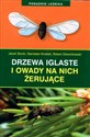 Drzewa iglaste i owady na nich żerujące - Jacek Stocki, Stanisław Kinelski, Robert Dzwonkowski