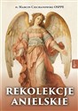 Rekolekcje anielskie - Marcin Ciechanowski