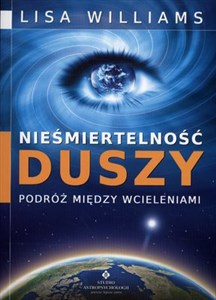 Nieśmiertelność duszy Podróż między wcieleniami Polish bookstore