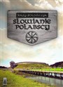 Słowianie połabscy - Jerzy Strzelczyk buy polish books in Usa