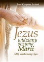 Jezus widziany oczyma Marii  buy polish books in Usa