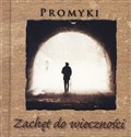 Promyki Zachęt do wieczności - Opracowanie Zbiorowe - Polish Bookstore USA