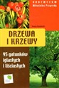 Drzewa i krzewy Vademecum Miłośnika Przyrody 95 gatunków iglastych i liściastych - Tomasz Hryniewicki