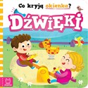 Co kryją okienka? Dźwięki - Anna Podgórska Bookshop