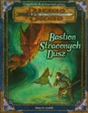 Bastion Straconych Dusz polish books in canada