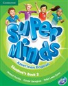 Super Minds American English Level 2 Student's Book with DVD-ROM polish usa