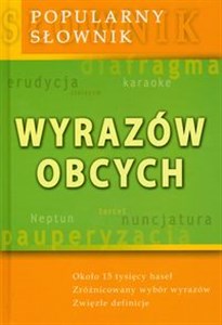 Popularny słownik wyrazów obcych  to buy in USA