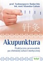 Akupunktura. Praktyczny przewodnik po chińskiej sztuce medycznej bookstore