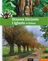 Drzewa liściaste i iglaste w Polsce Piękne ciekawe wyjątkowe - Inga Szwedler, Zbigniew Nawara