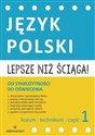 Lepsze niż ściąga Język polski Liceum i technikum Część 1 Od starożytności do oświecenia - Opracowanie Zbiorowe to buy in USA