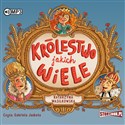 CD MP3 Królestwo jakich wiele  - Katarzyna Wasilkowska