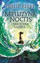 Meluzyna Noctis i Mroczna Głębia chicago polish bookstore