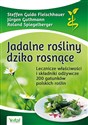 Jadalne rośliny dziko rosnące  