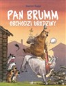 Pan Brumm obchodzi urodziny to buy in Canada