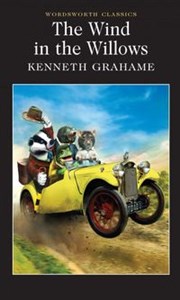 The Wind in the Willows to buy in USA