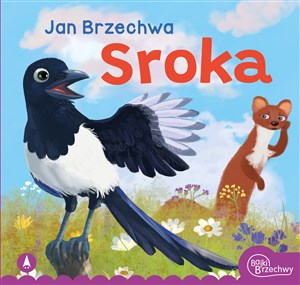 Sroka polish books in canada