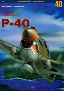 Curtiss P-40 II polish usa
