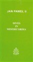 Dives in Misericordia pl online bookstore