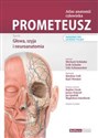 PROMETEUSZ Atlas anatomii człowieka Tom 3 Głowa, szyja i neuroanatomia. Mianownictwo łacińskie i in polish