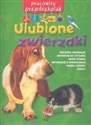 Pracowity przedszkolak Ulubione zwierzaki pl online bookstore
