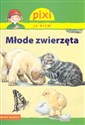 Pixi Ja wiem! Młode zwierzęta Polish Books Canada