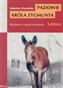 Paziowie Króla Zygmunta Wydanie z opracowaniem bookstore