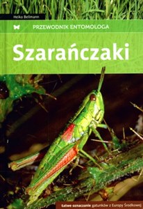 Szarańczaki Łatwe oznaczanie gatunków z Europy Środkowej in polish