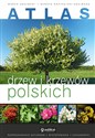 Atlas drzew i krzewów polskich buy polish books in Usa