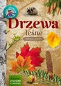 Drzewa leśne Młody Obserwator Przyrody Polish bookstore