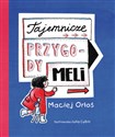 Tajemnicze przygody Meli polish books in canada