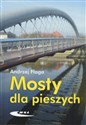 Mosty dla pieszych - Andrzej Flaga 