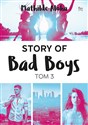 Story of Bad Boys Tom 3 bookstore