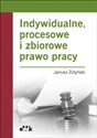 Indywidualne, procesowe i zbiorowe prawo pracy Polish bookstore