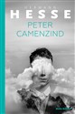 Peter Camenzin - Hermann Hesse