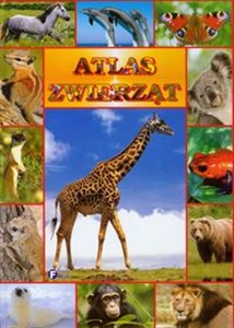 Atlas zwierząt  to buy in USA