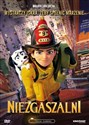 Niezgaszalni DVD  online polish bookstore