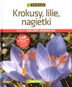 Krokusy, lilie, nagietki Katalog roślin cebulowych i jednorocznych - Jadwiga Treder