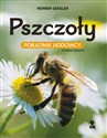 Pszczoły Poradnik hodowcy in polish