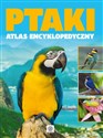 Ptaki - atlas encyklopedyczy books in polish