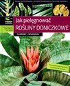 Jak pielęgnować rośliny doniczkowe Choroby i szkodniki to buy in USA