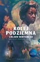 Kolej podziemna polish books in canada