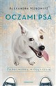 Oczami psa Co psy wiedzą, myślą i czują Bookshop