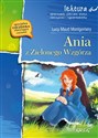 Ania z Zielonego Wzgórza buy polish books in Usa