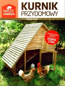 Kurnik przydomowy Bookshop